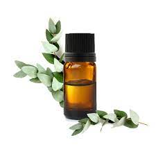 Huile essentielle d'eucalyptus mentholé bio 10ml